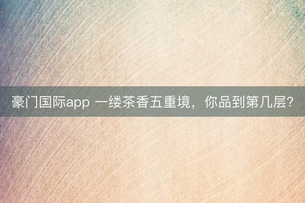 豪门国际app 一缕茶香五重境，你品到第几层？